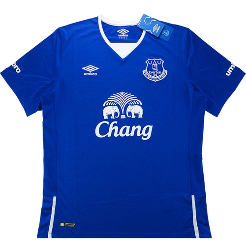 Everton 2015-16 Home Football Shirt Large 