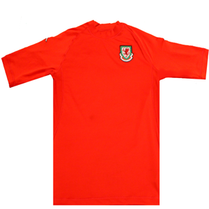 Wales 2004-2006 Home Football Shirt 